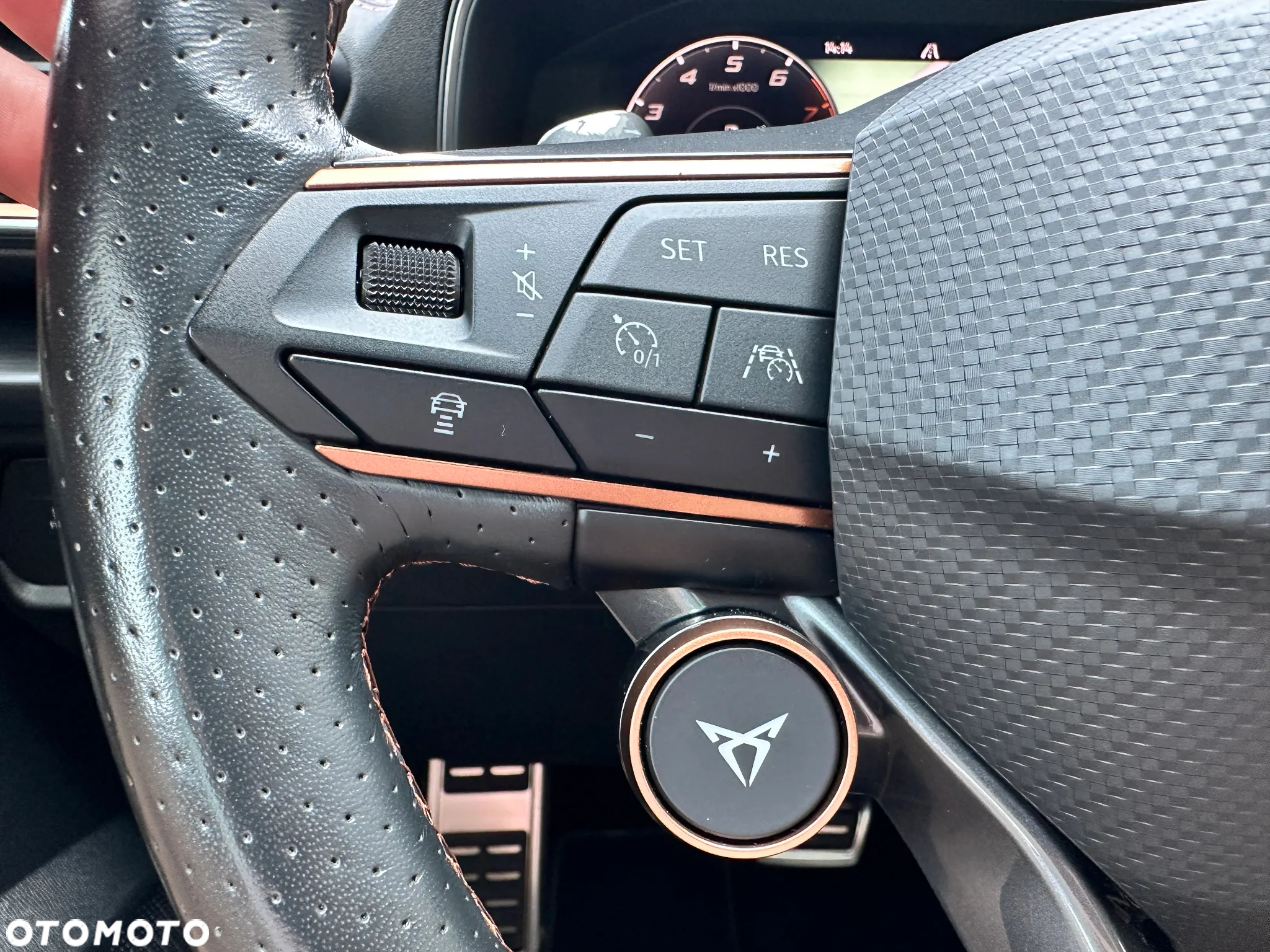 Cupra Formentor VZ 2.0 TSI 4Drive DSG - 24