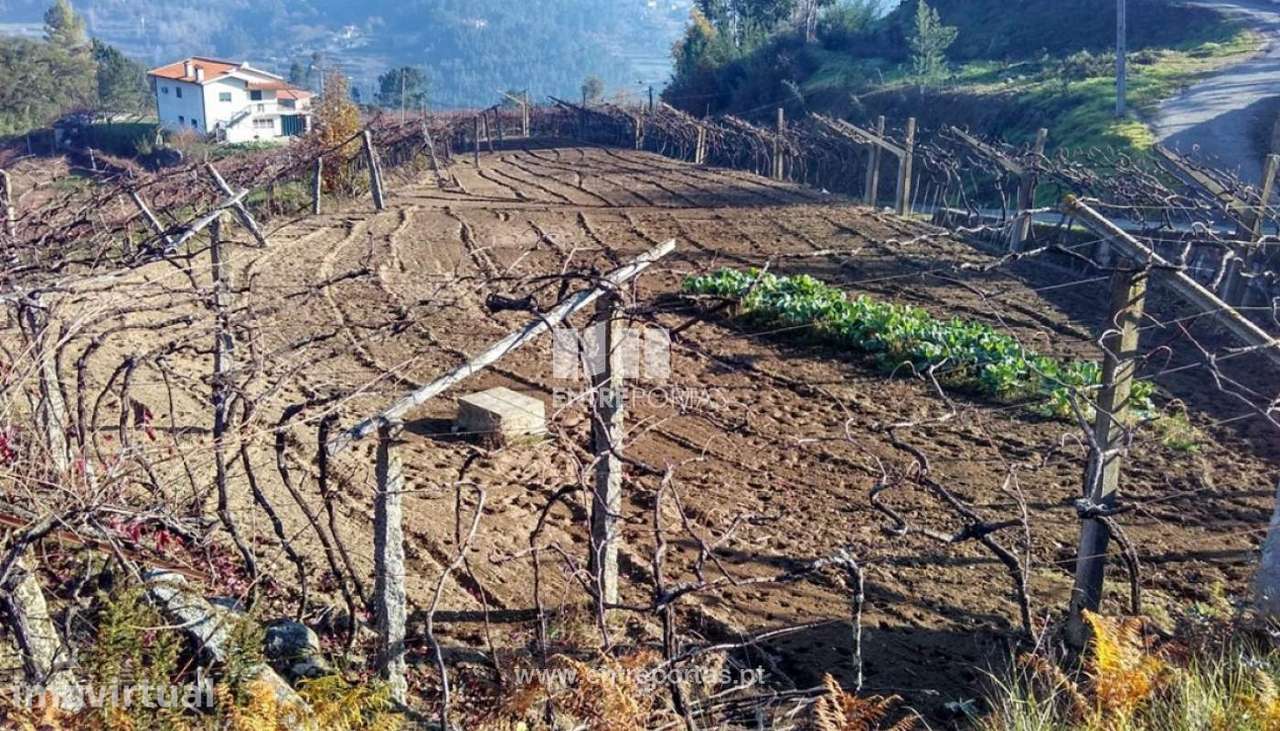 Venda Terreno, Bairros, Castelo de Paiva - Grande imagem: 3/8