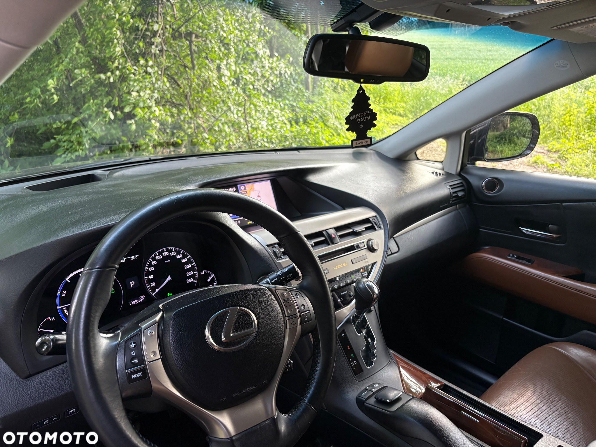 Lexus RX - 12
