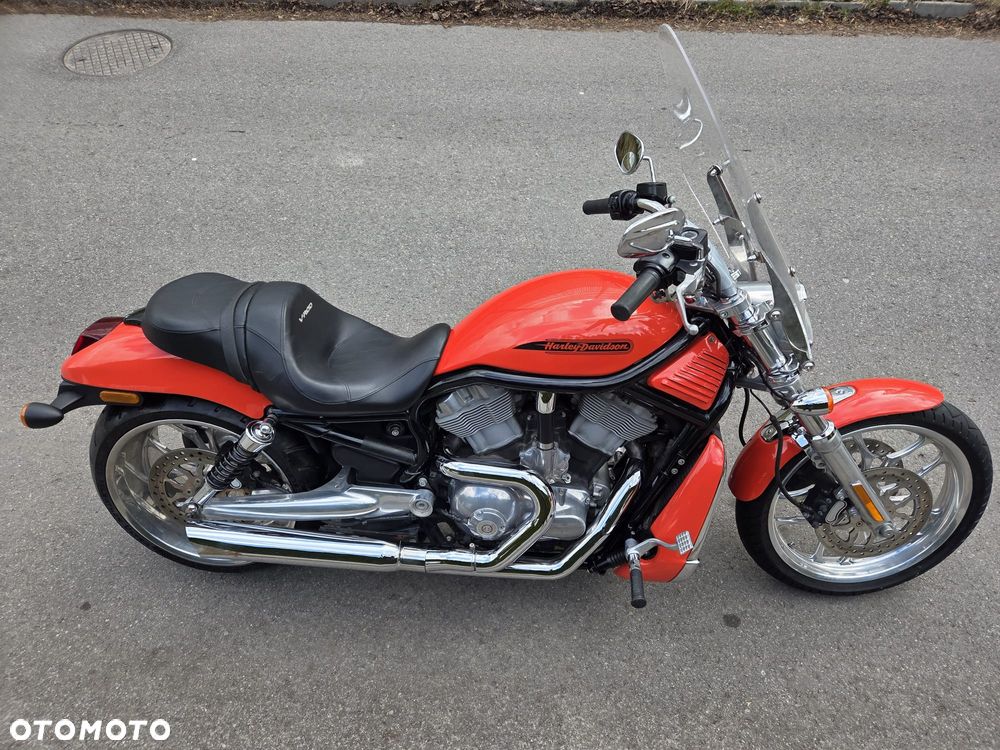 Harley-Davidson Softail V-Rod - 5