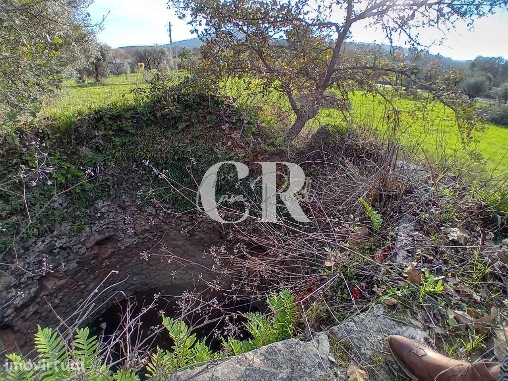 Excelente terreno para construção com cerca de 3.400m2 em Aguda - Figu - Grande imagem: 4/14