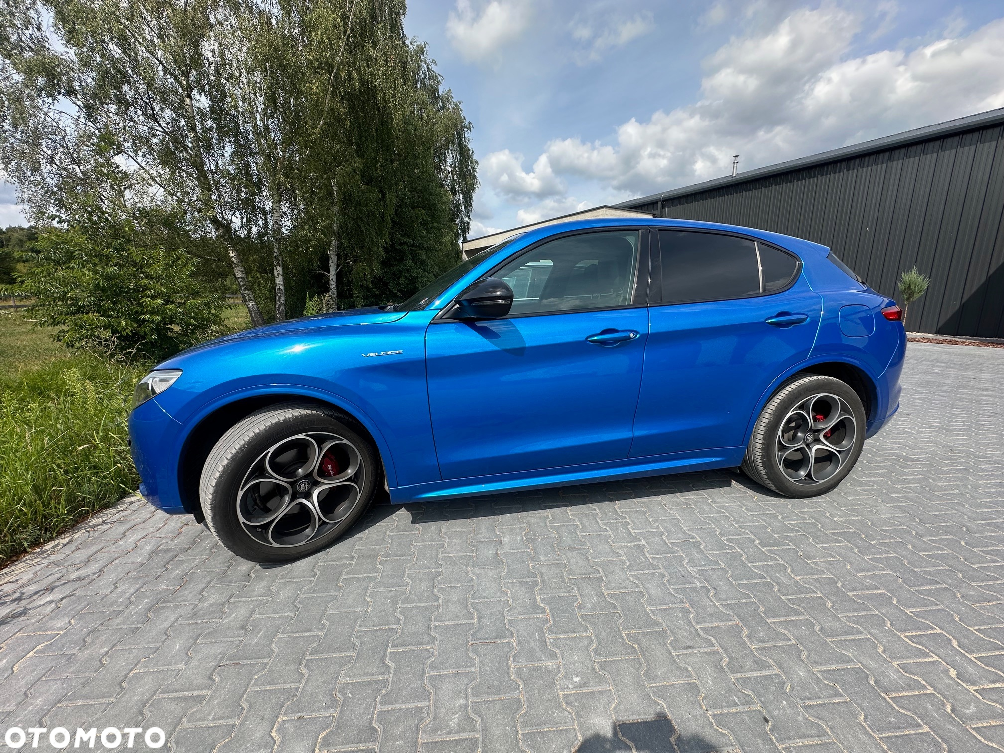 Alfa Romeo Stelvio 2.0 Turbo Veloce Q4 - 4