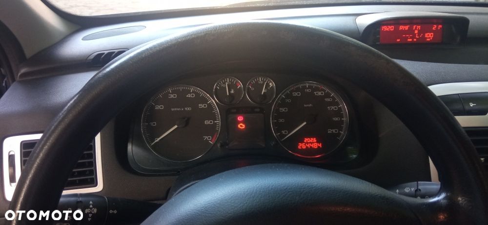 Peugeot 307 - 5