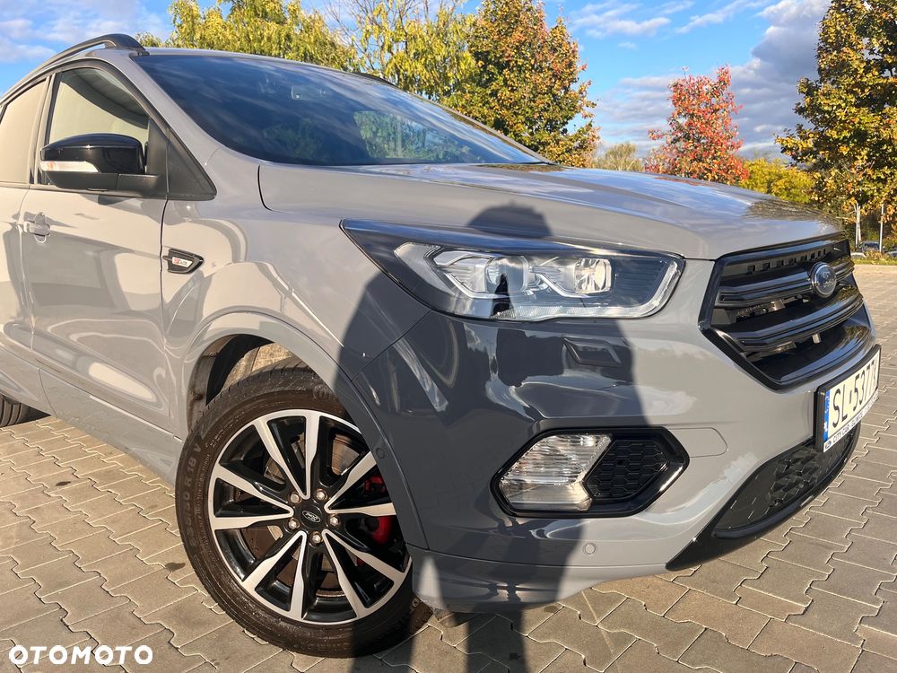 Ford Kuga 2019 photo 2