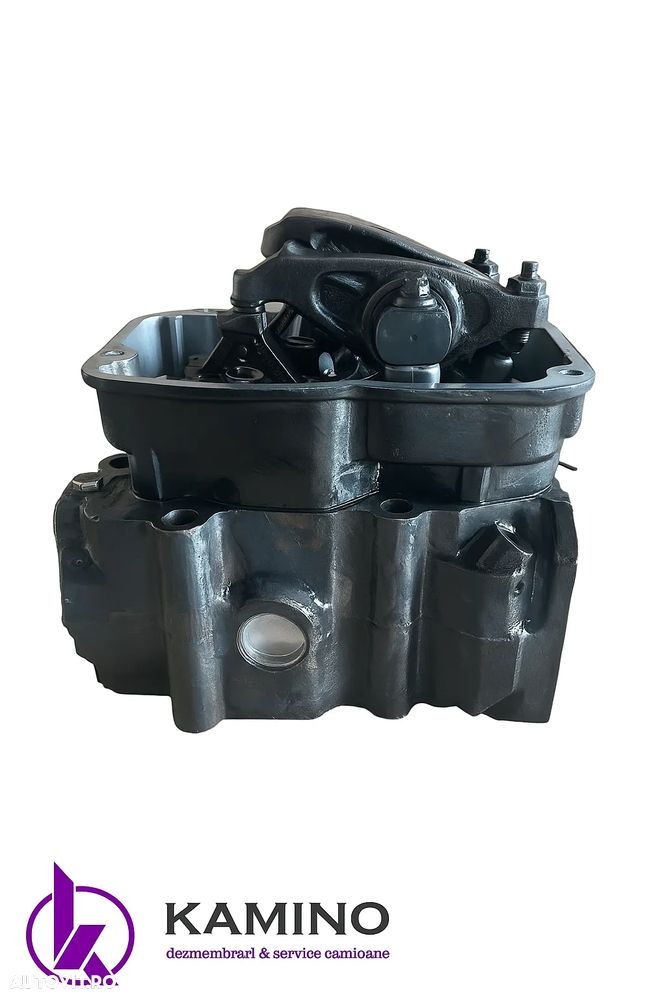 Chiuloasa Scania - 1