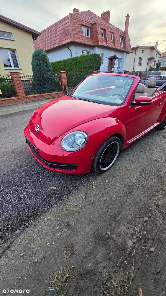 Volkswagen Beetle - 3