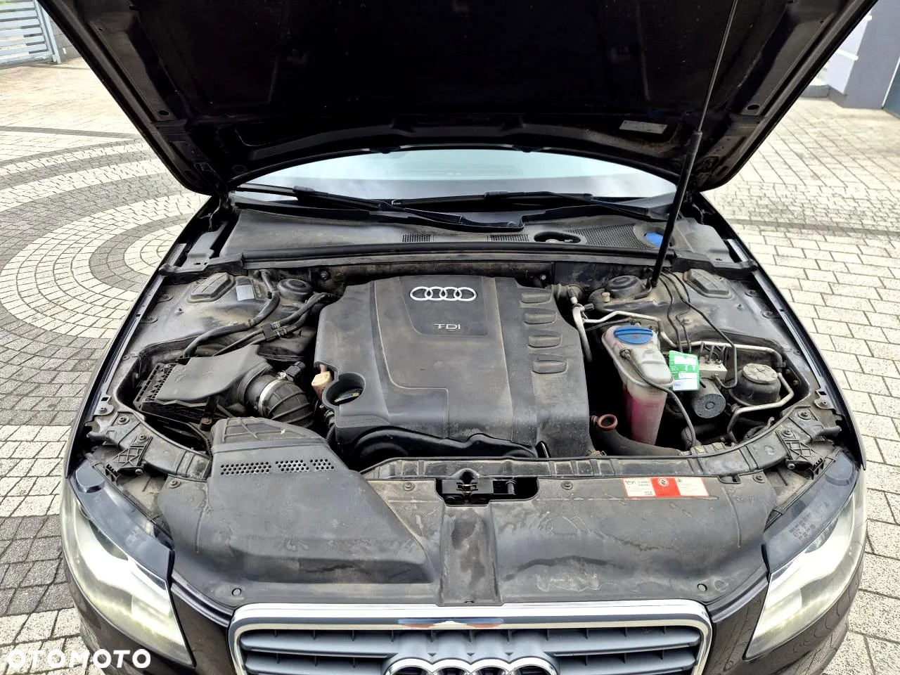 Audi A4 - 37