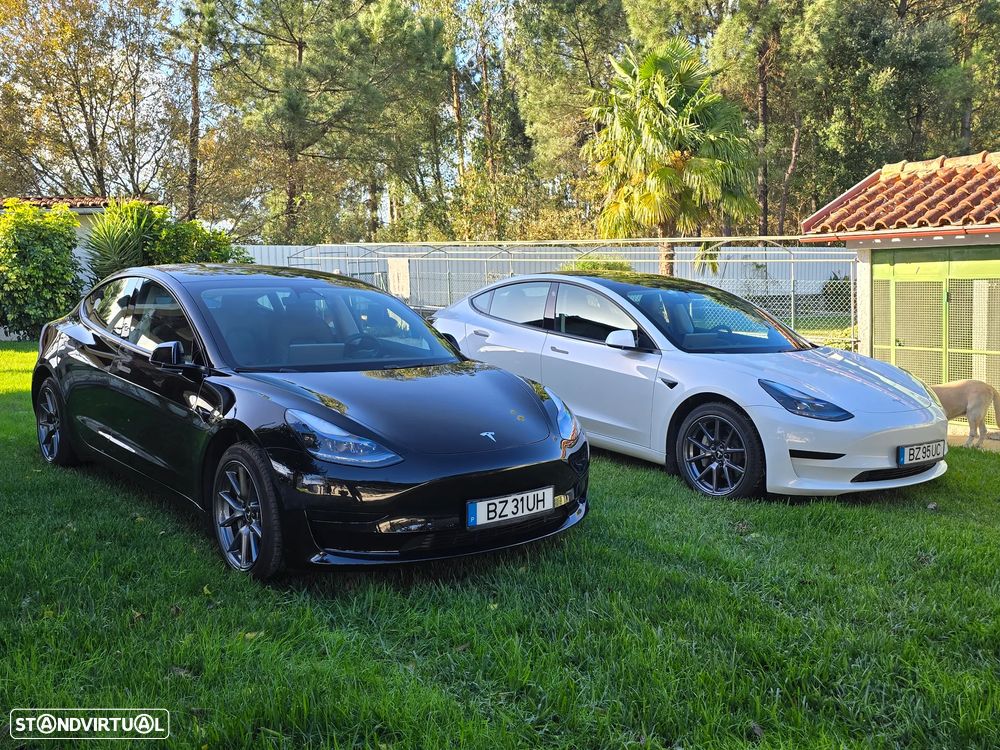 Tesla Model 3 Standard Range Plus RWD - 18