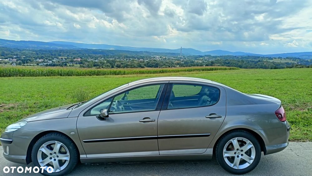 Peugeot 407 - 3