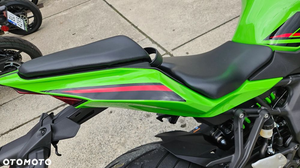 Kawasaki Ninja - 10