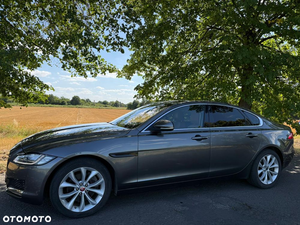 Jaguar XF 20d Prestige - 15