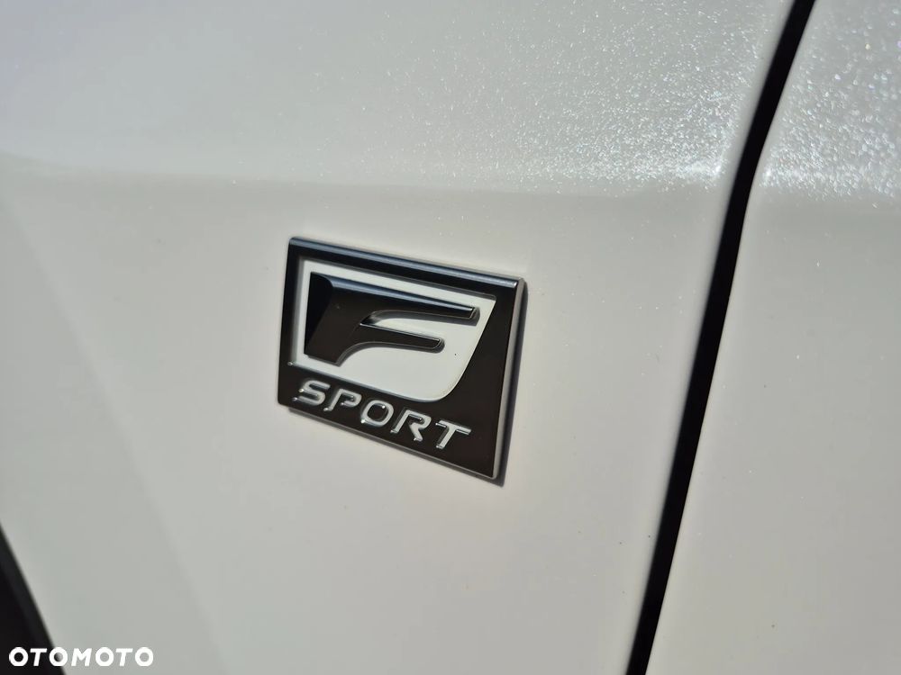 Lexus RX 200t / 300 F Sport - 28