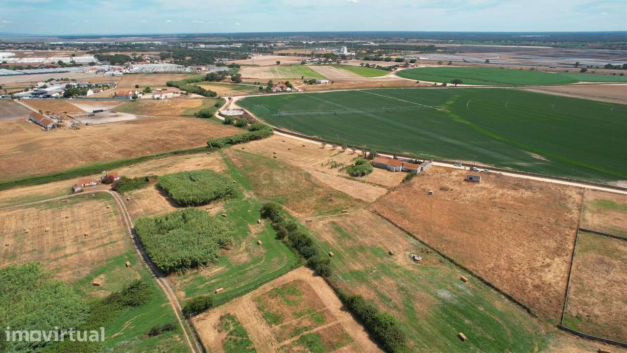 Terreno Rústico em Alcochete  com 5000 m2 – Natureza,  com Potencial - Grande imagem: 4/9