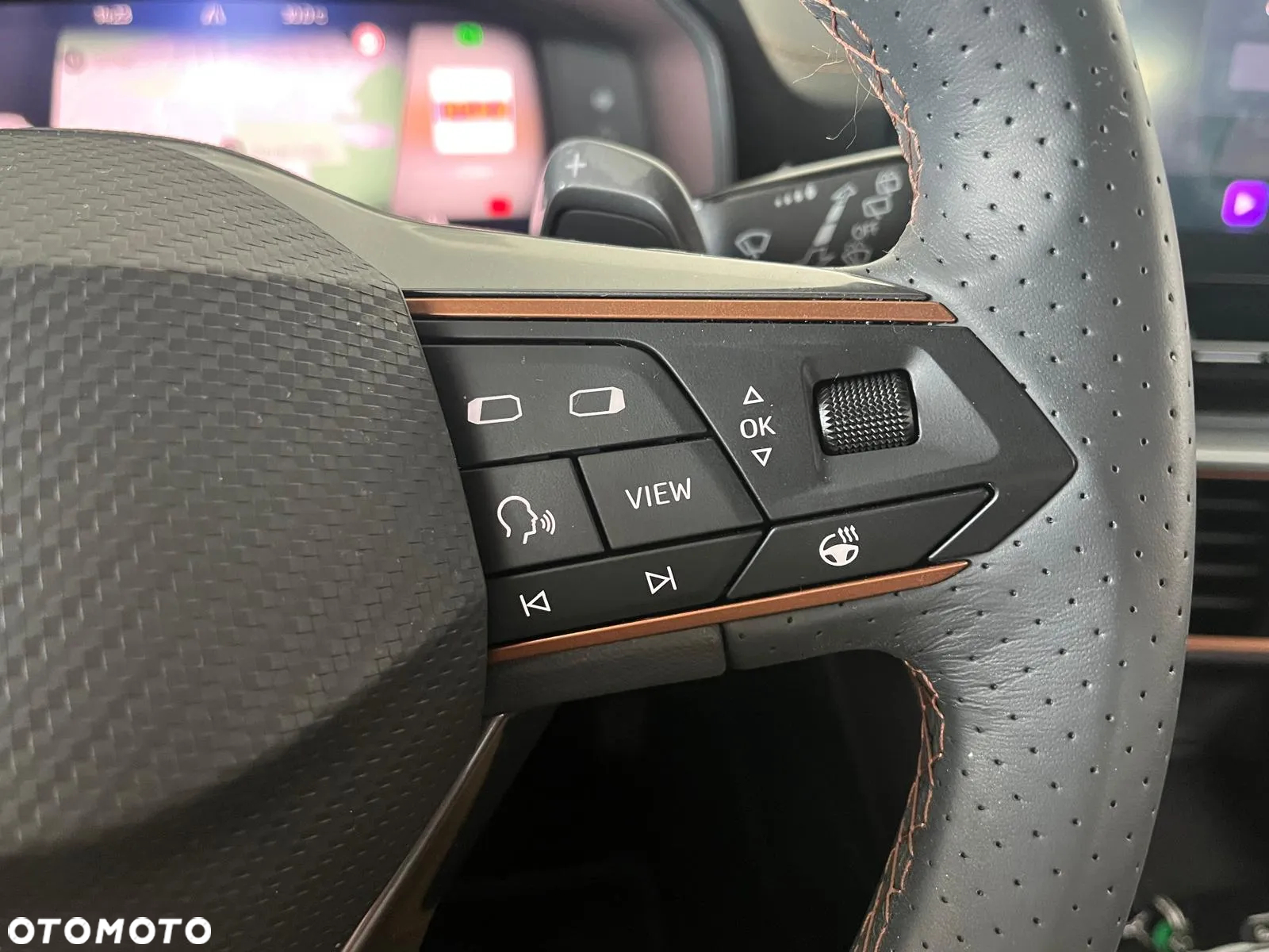 Cupra Formentor 1.5 TSI DSG - 28