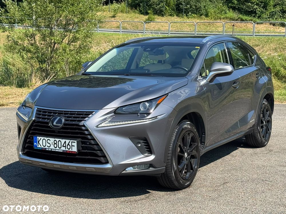 Lexus NX 300h Prestige AWD - 7