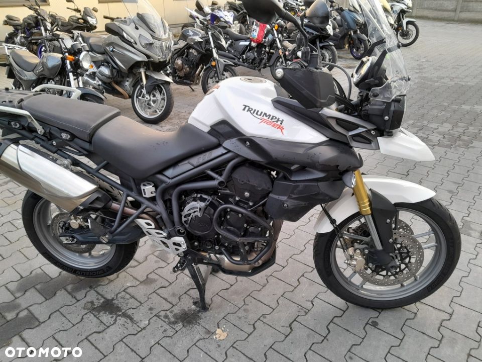 Triumph Tiger - 27