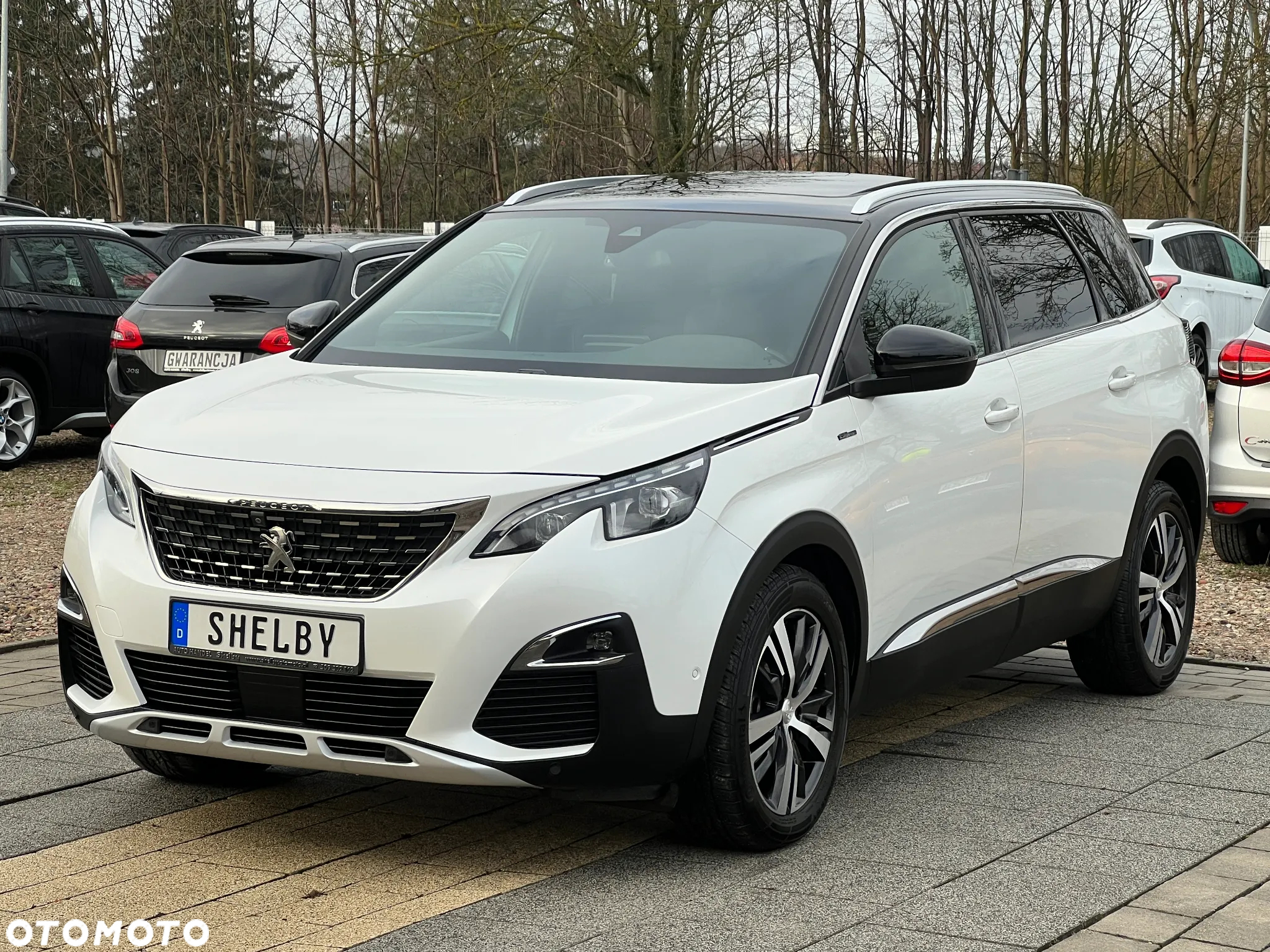 Peugeot 5008 1.5 BlueHDi GT S&S EAT8 - 3