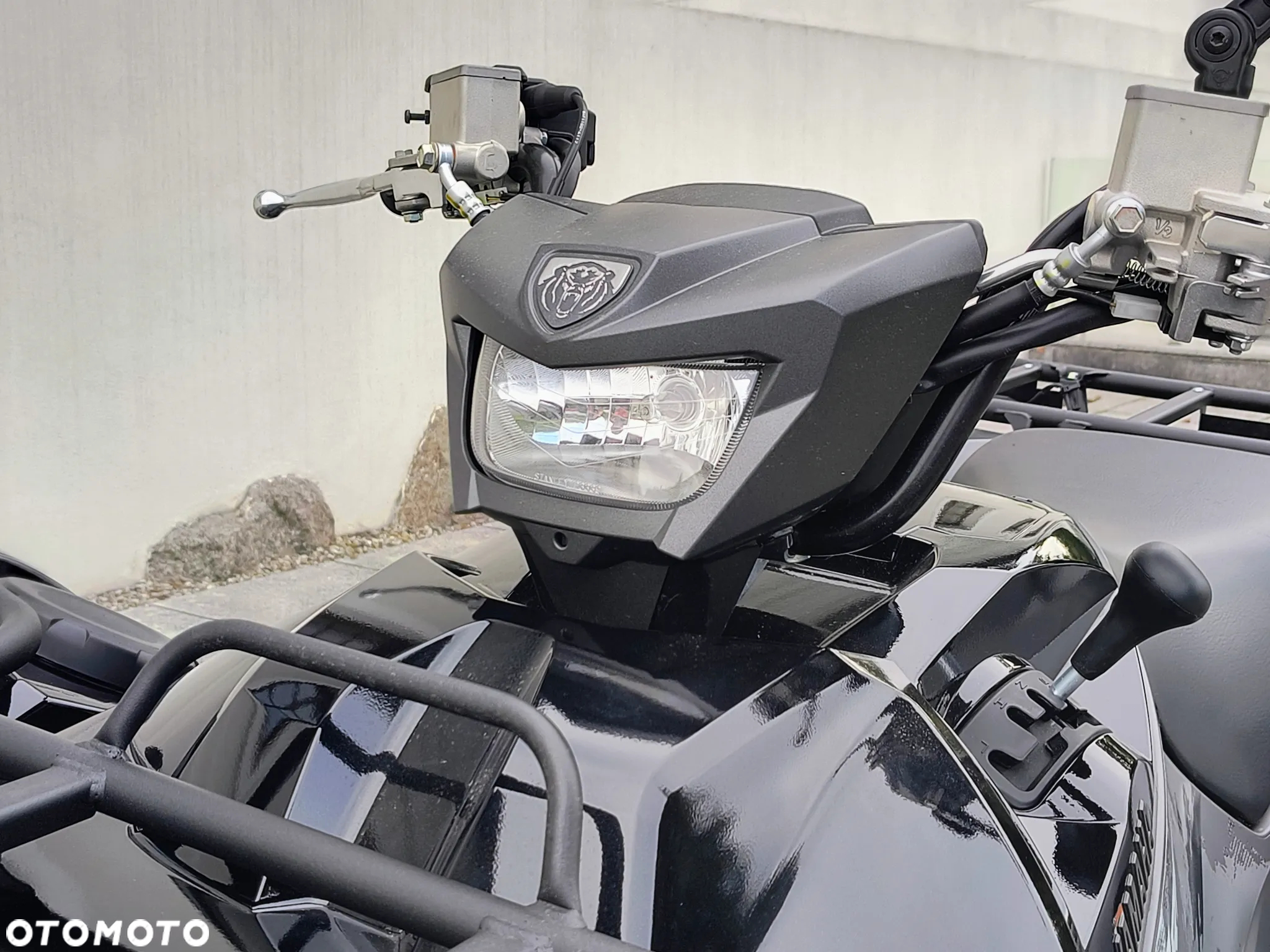 Yamaha Grizzly - 16