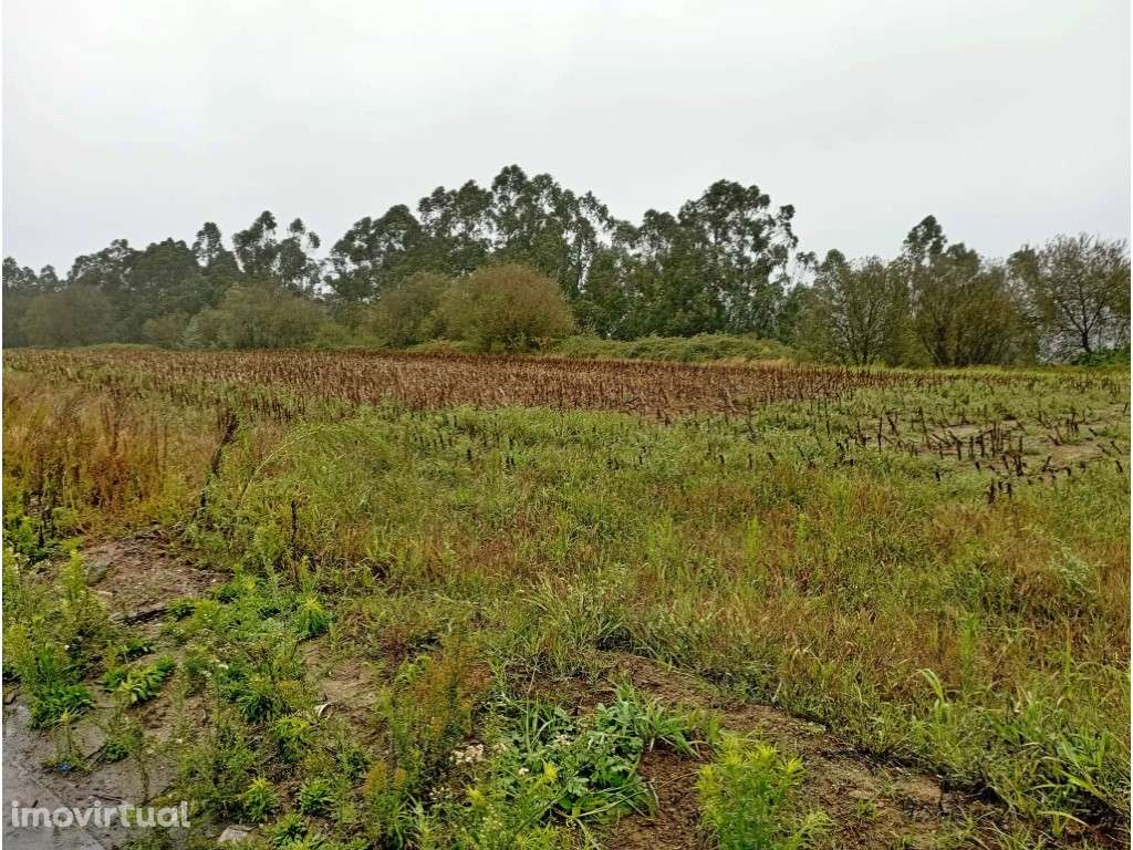 Terreno industrial em Covelas - Grande imagem: 3/5