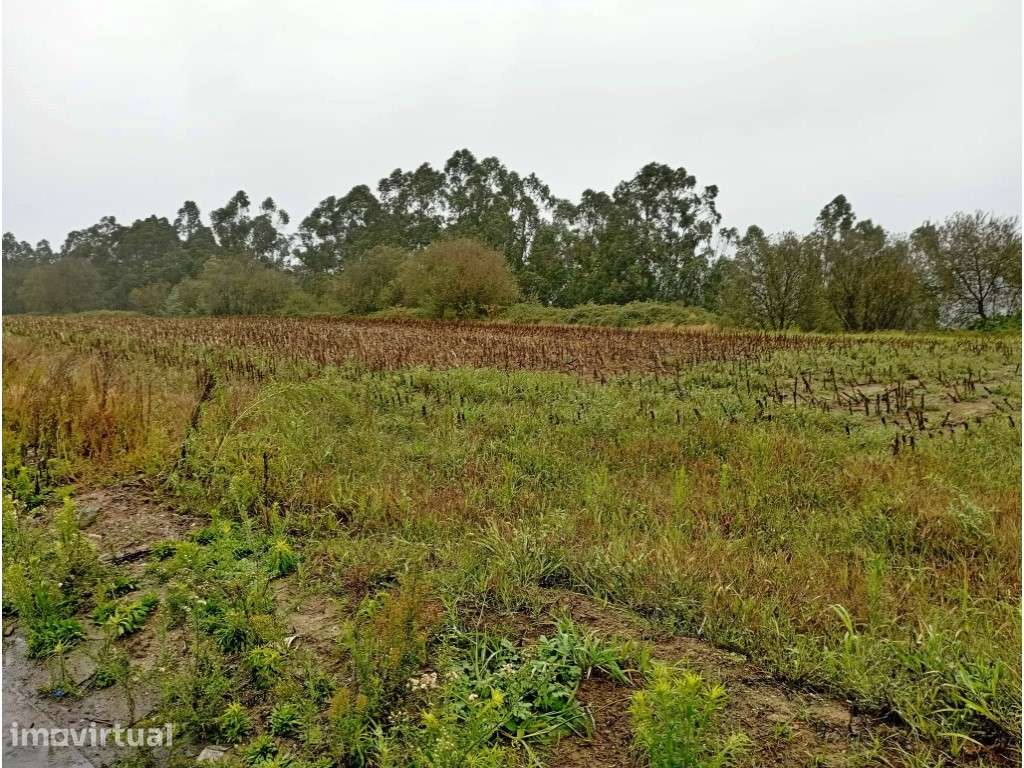 Terreno industrial em Covelas - Grande imagem: 3/5