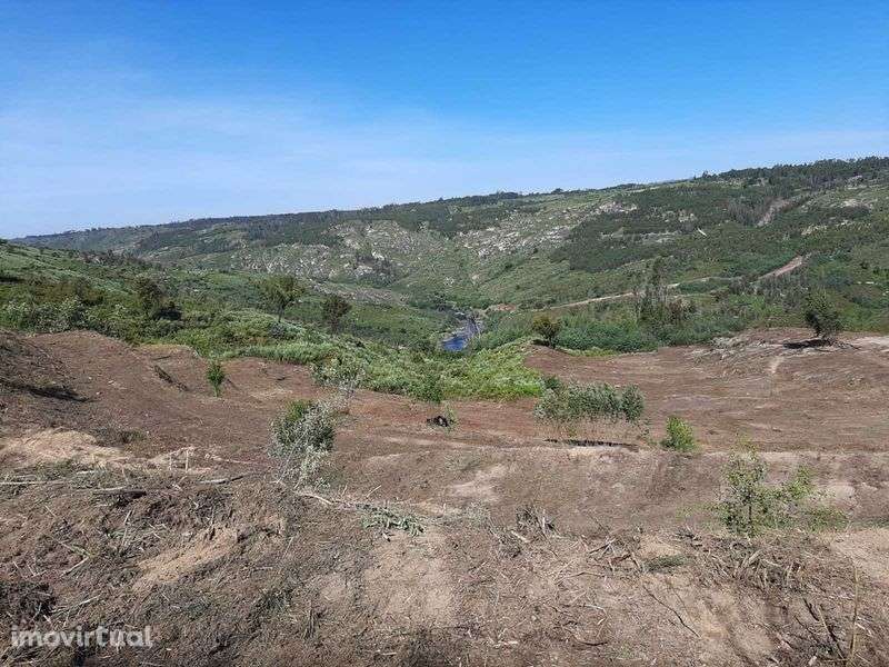 Terreno com casa e acesso ao rio, em Seixas da Beira. - Grande imagem: 5/12