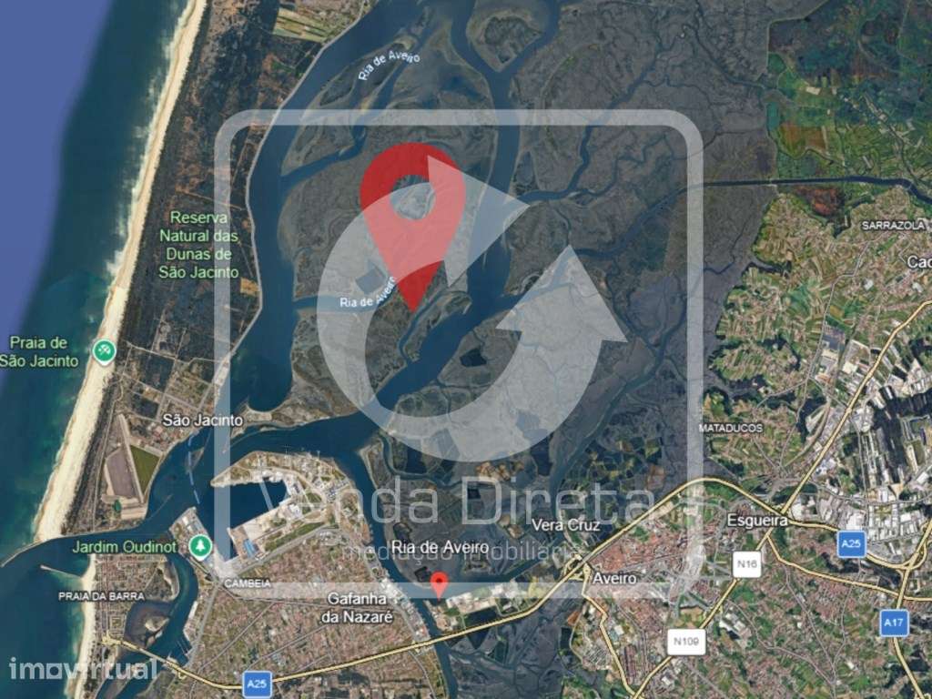 Conjunto de 3 Parcelas de Terreno Rústico | 518.5 HA | Ilha Monte F... - Grande imagem: 2/13