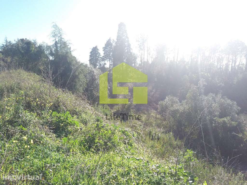 Terreno - Grande imagem: 3/5