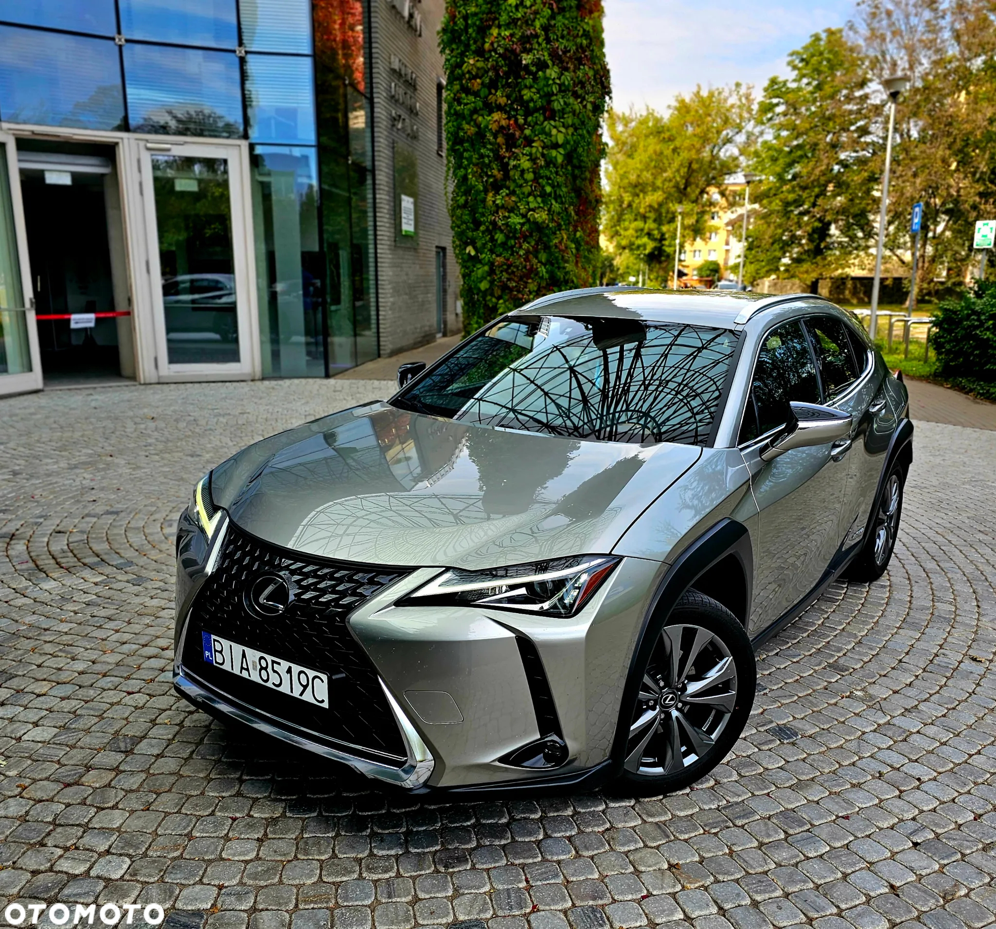 Lexus UX 250h GPF Elegance 2WD - 2