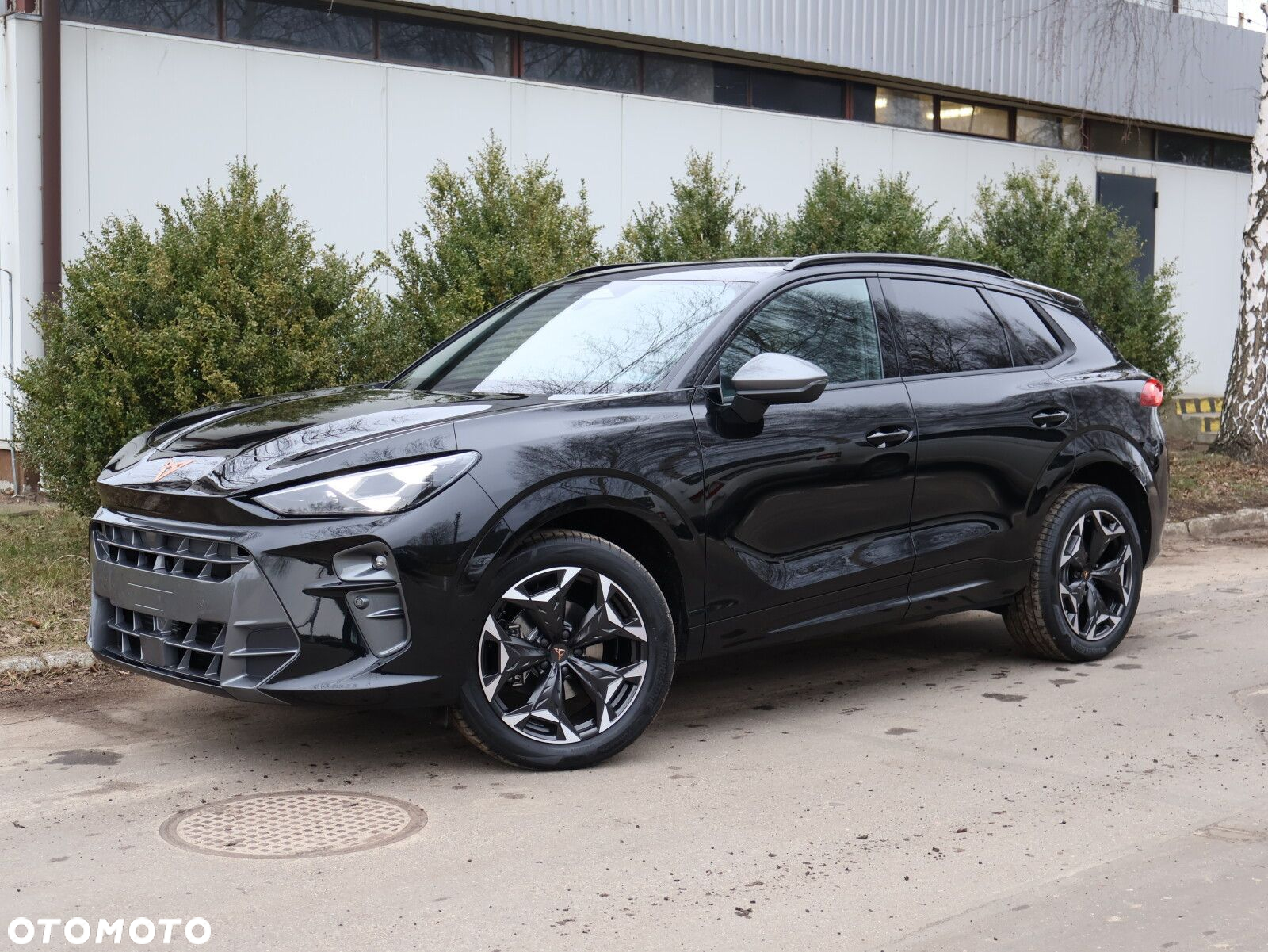 Cupra Terramar 1.5 eTSI mHEV DSG - 2
