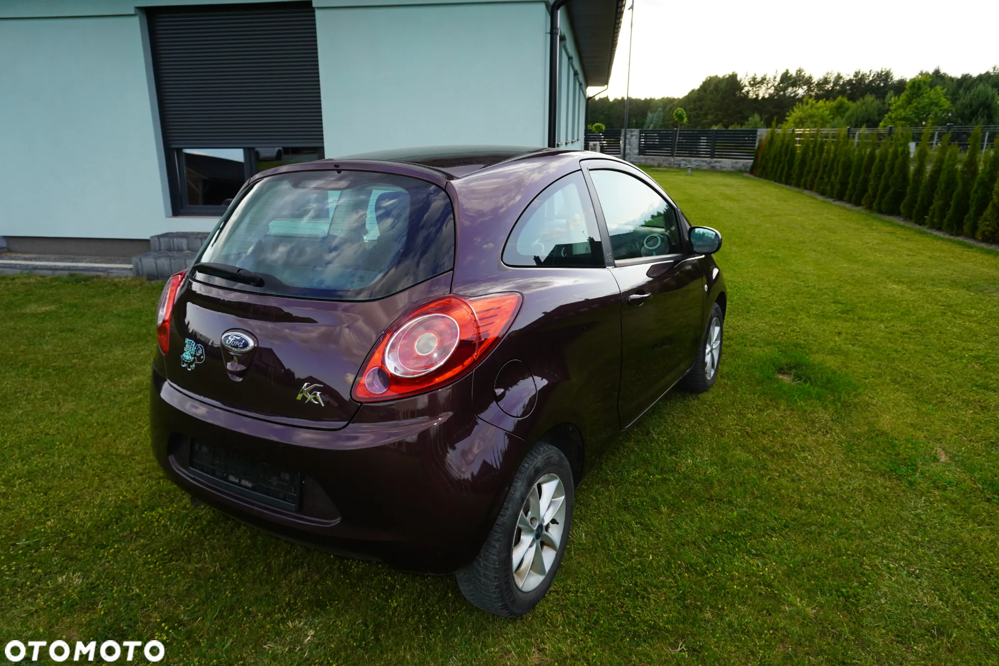 Ford KA 1.2 Start-Stopp-System Champions Edition - 28