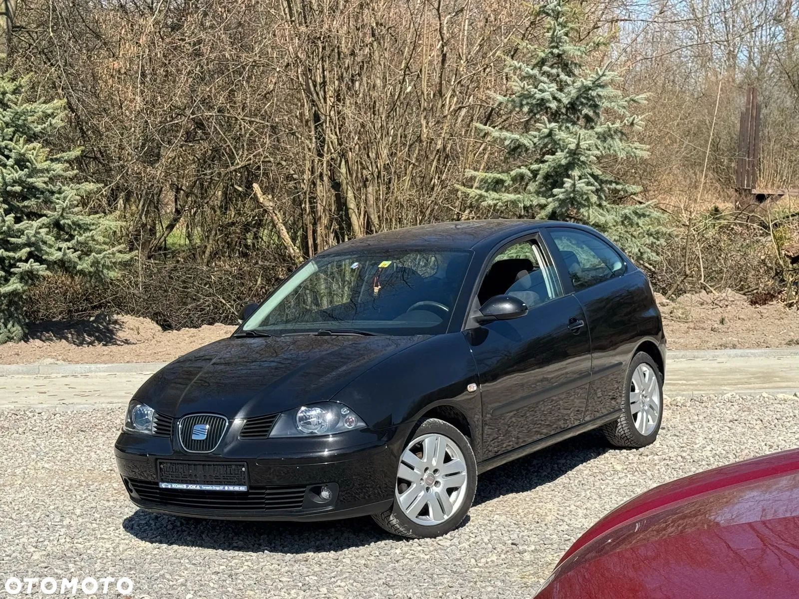 Seat Ibiza 1.9 TDI Comfort Edition - 8