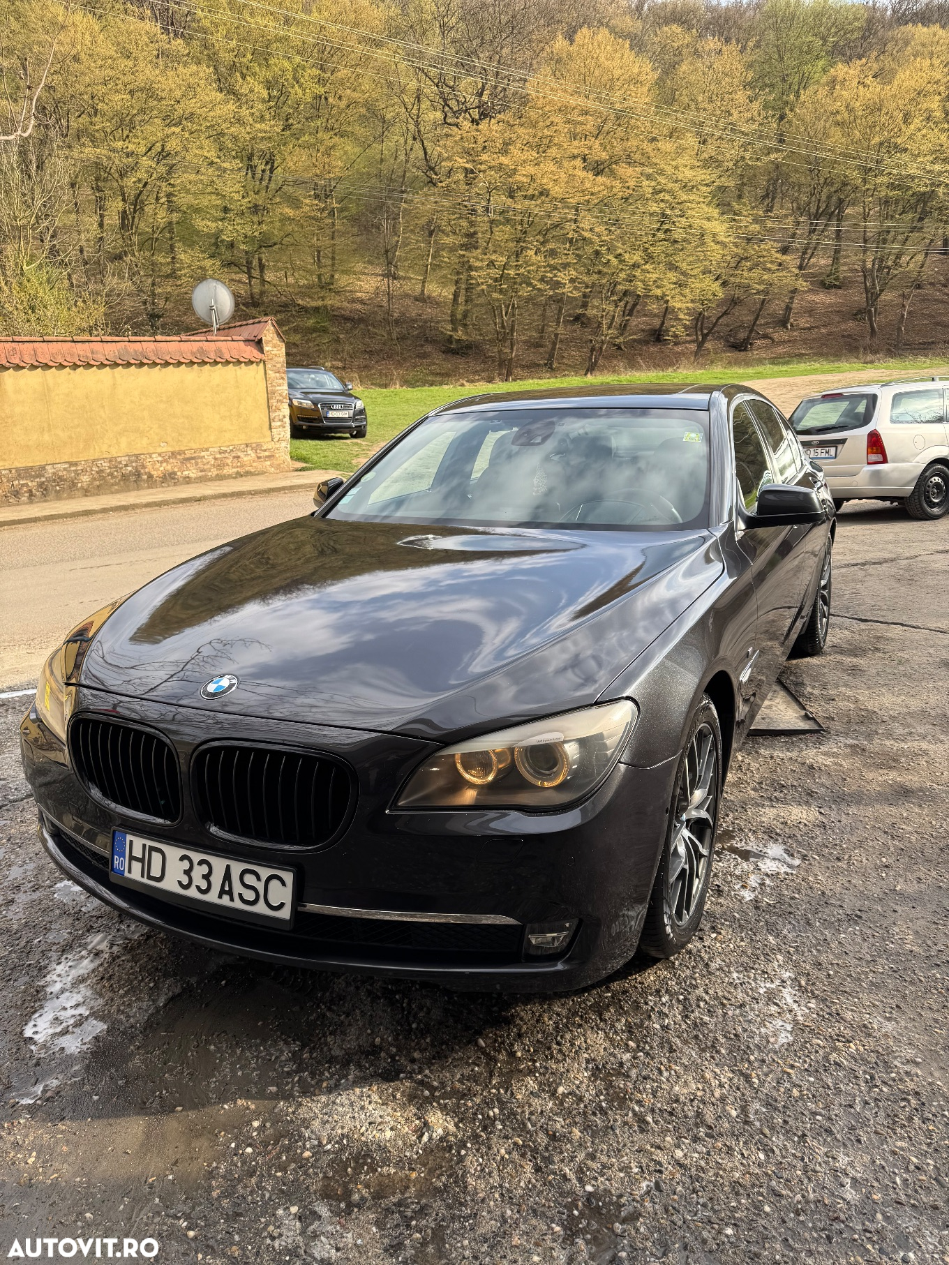 BMW Seria 7 730d - 21