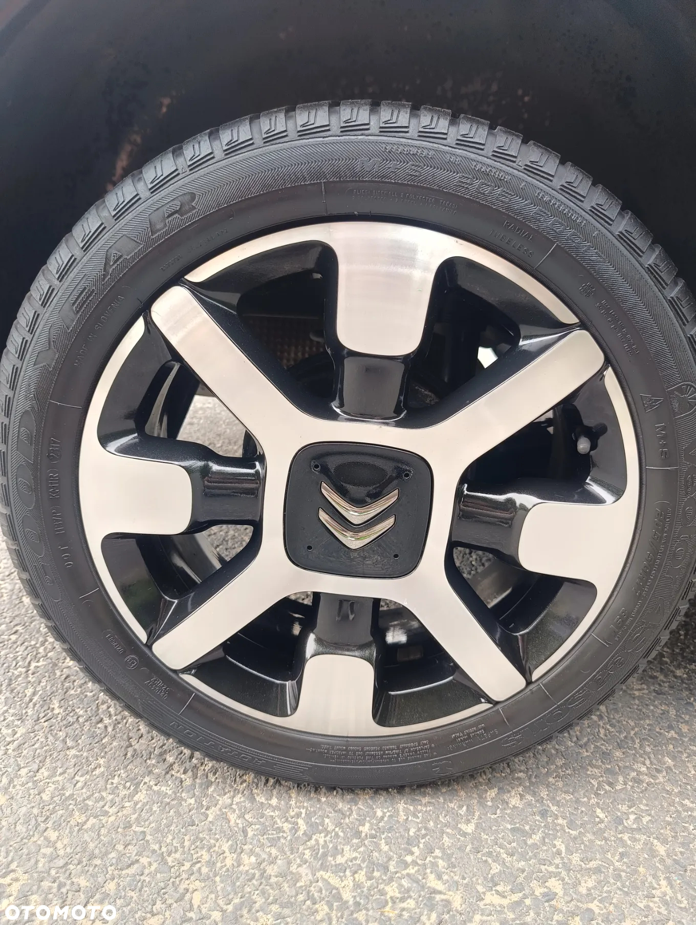Citroën C4 Cactus 1.2 PureTech Rip Curl S&S - 14