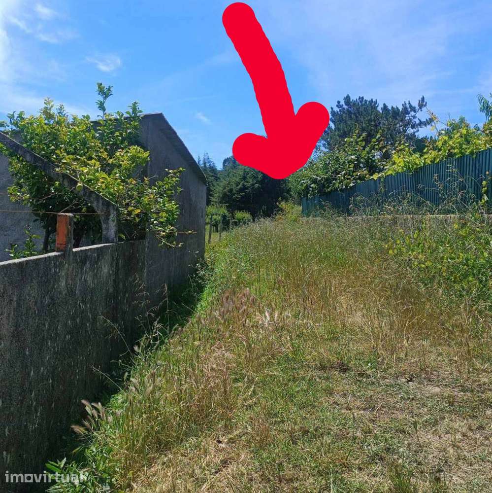 Terreno rústico com 900m2(aceito carro ou mota)plano. - Grande imagem: 3/4