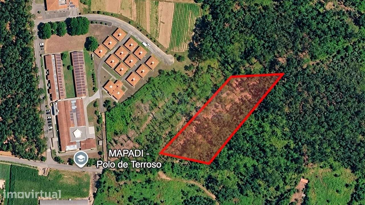 Bouça em Terroso com 4661 m2 - Grande imagem: 5/5