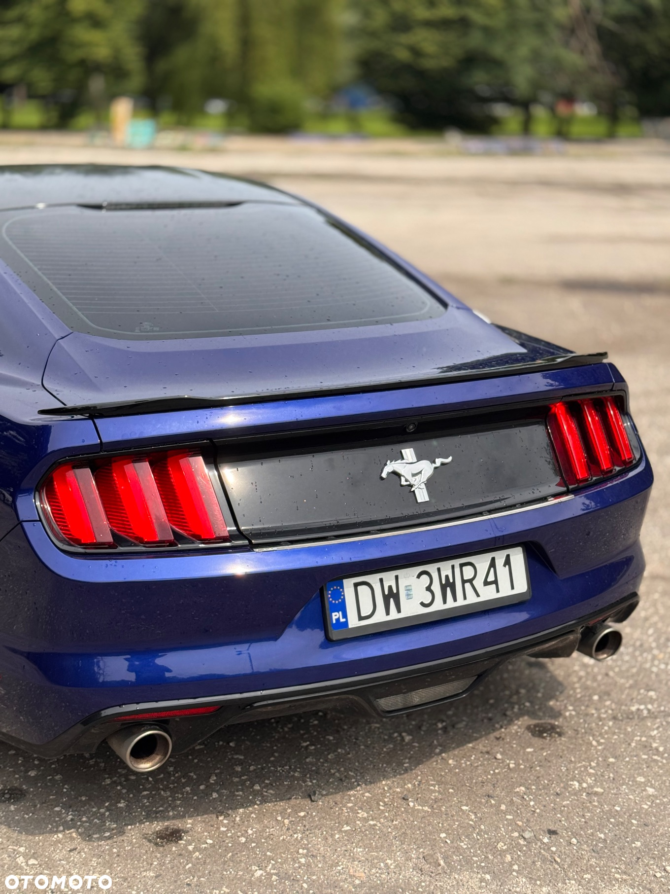 Ford Mustang 3.7 V6 - 14