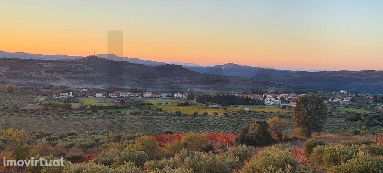 Oportunidade Única | Propriedade Agrícola | 36 Hectares: Oliveiras, Am - Grande imagem: 2/48