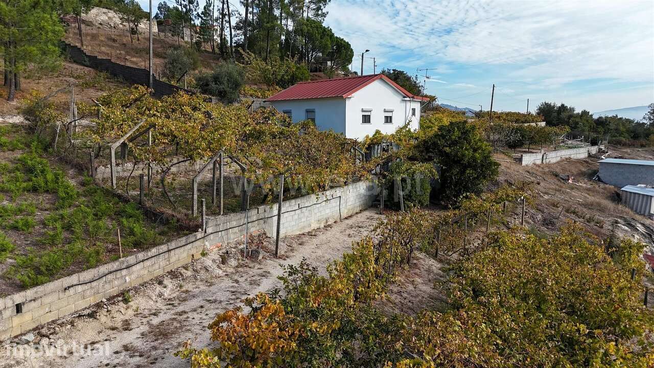 Quintinha T3 / Baião, Santa Cruz do Douro e São Tomé de Covelas - Grande imagem: 2/20