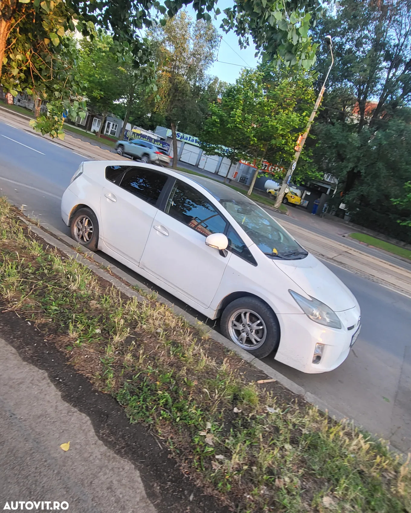 Toyota Prius (Hybrid) Luna - 9
