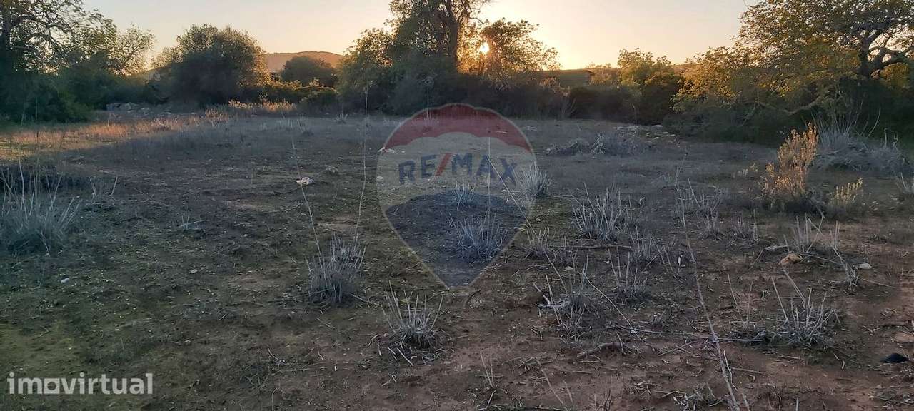 Terreno  para venda - Grande imagem: 3/7