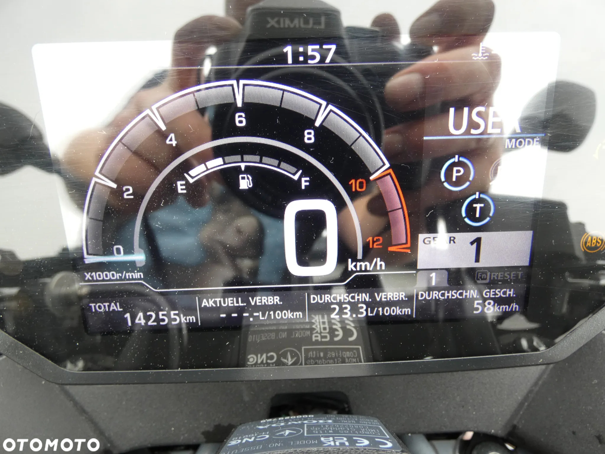 Honda Hornet - 11