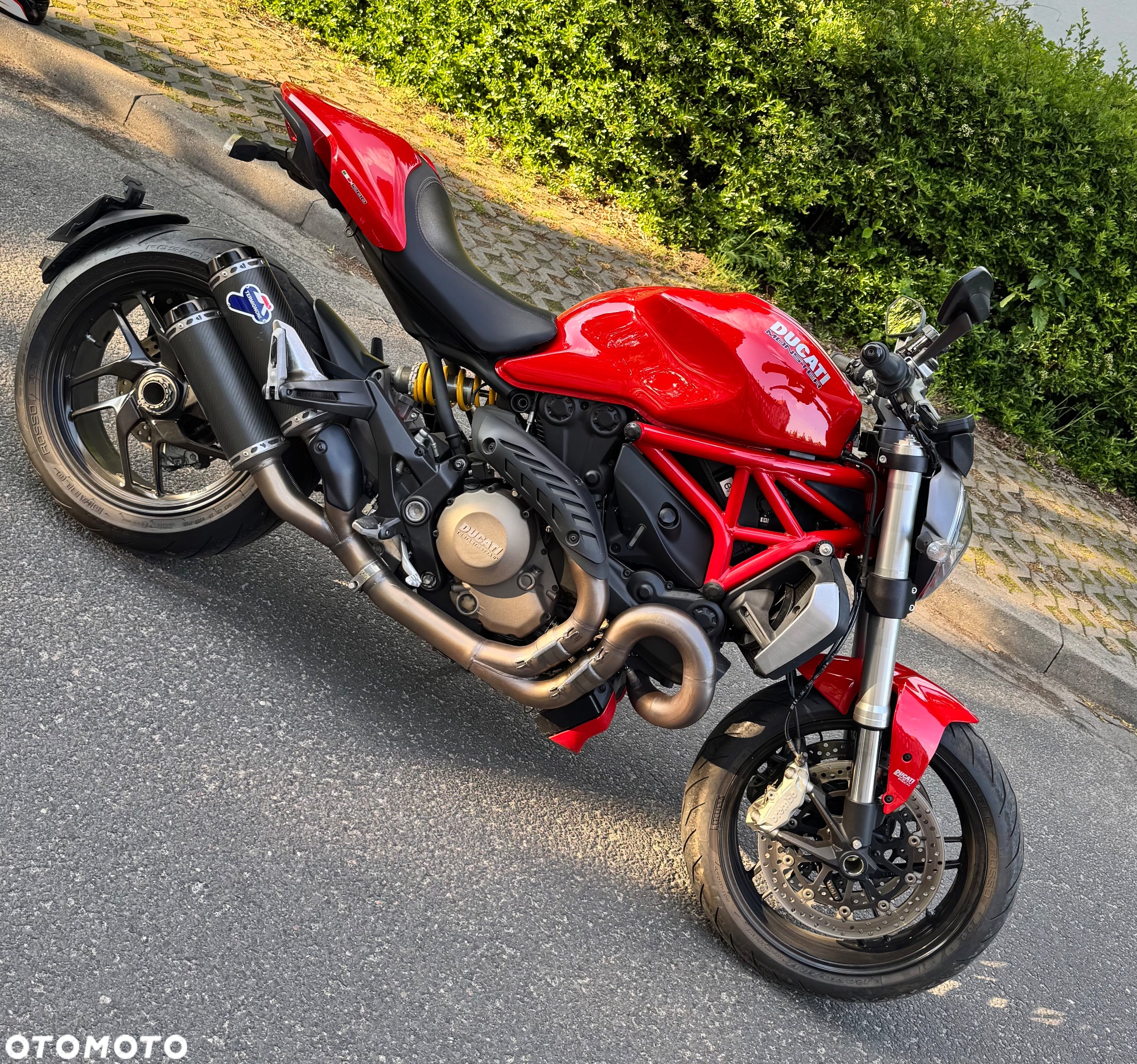 Ducati Monster - 9
