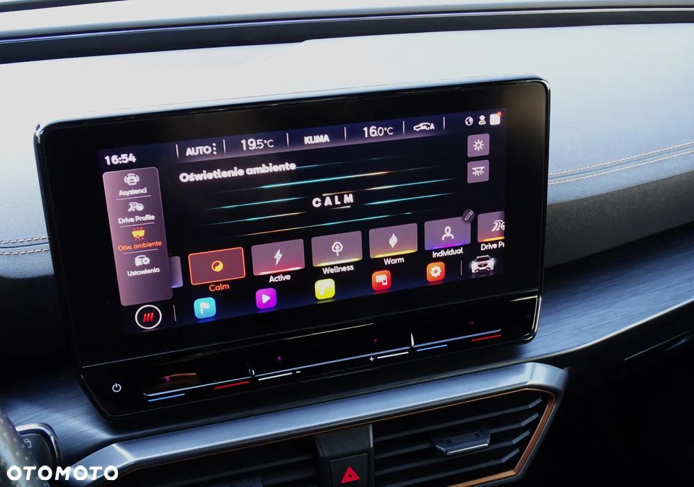 Cupra Formentor 1.5 TSI DSG Tribe Edition - 26