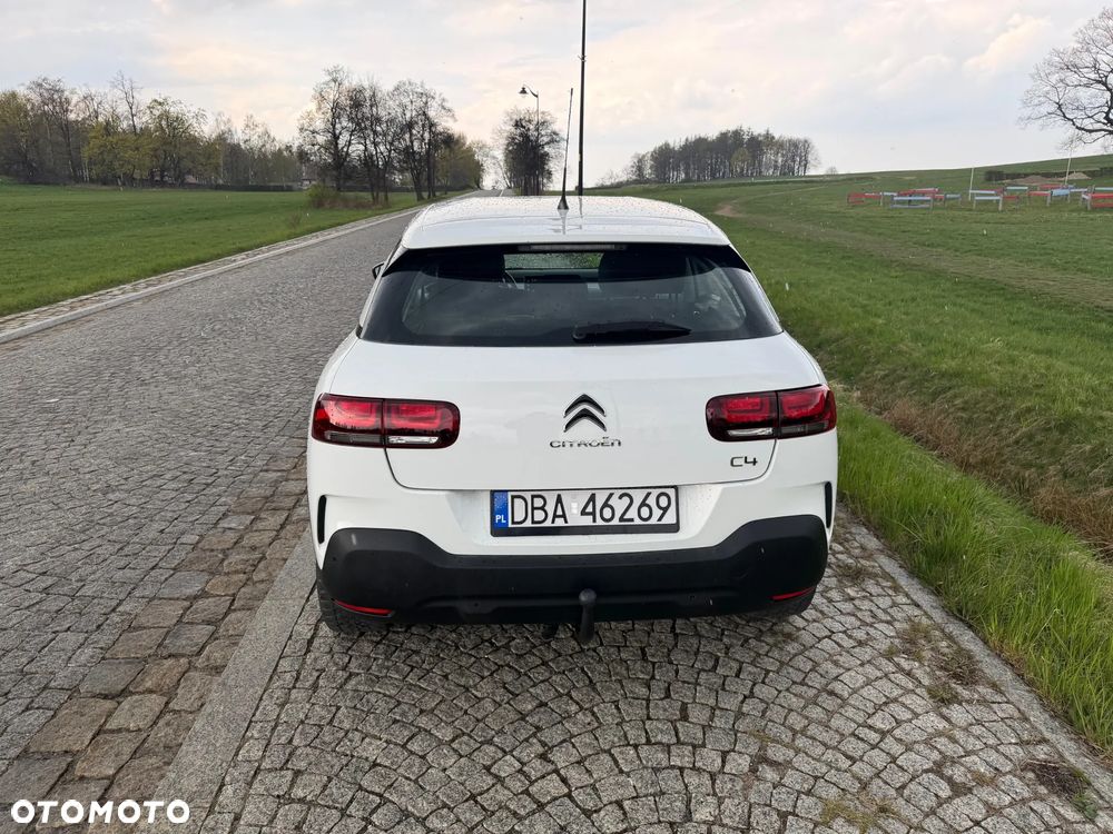 Citroën C4 Cactus 1.2 PureTech GPF Shine S&S EAT6 - 9