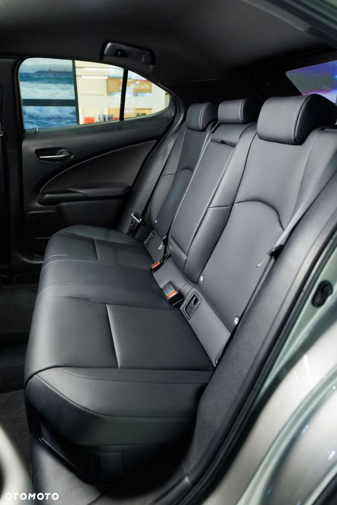 Lexus UX 300h F Sport Design AWD - 19