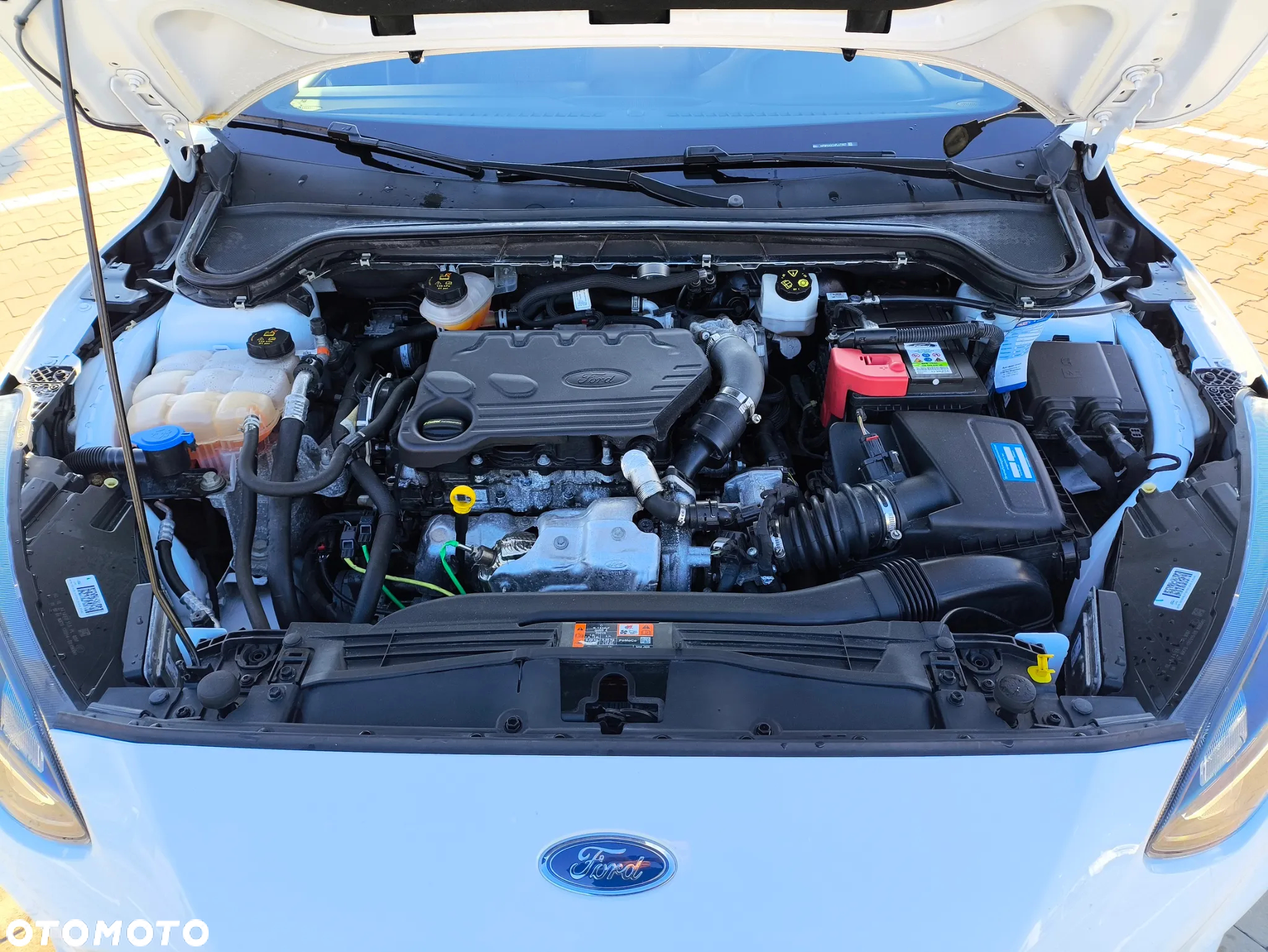 Ford Focus 1.5 EcoBlue Start-Stopp-System ST-LINE - 17