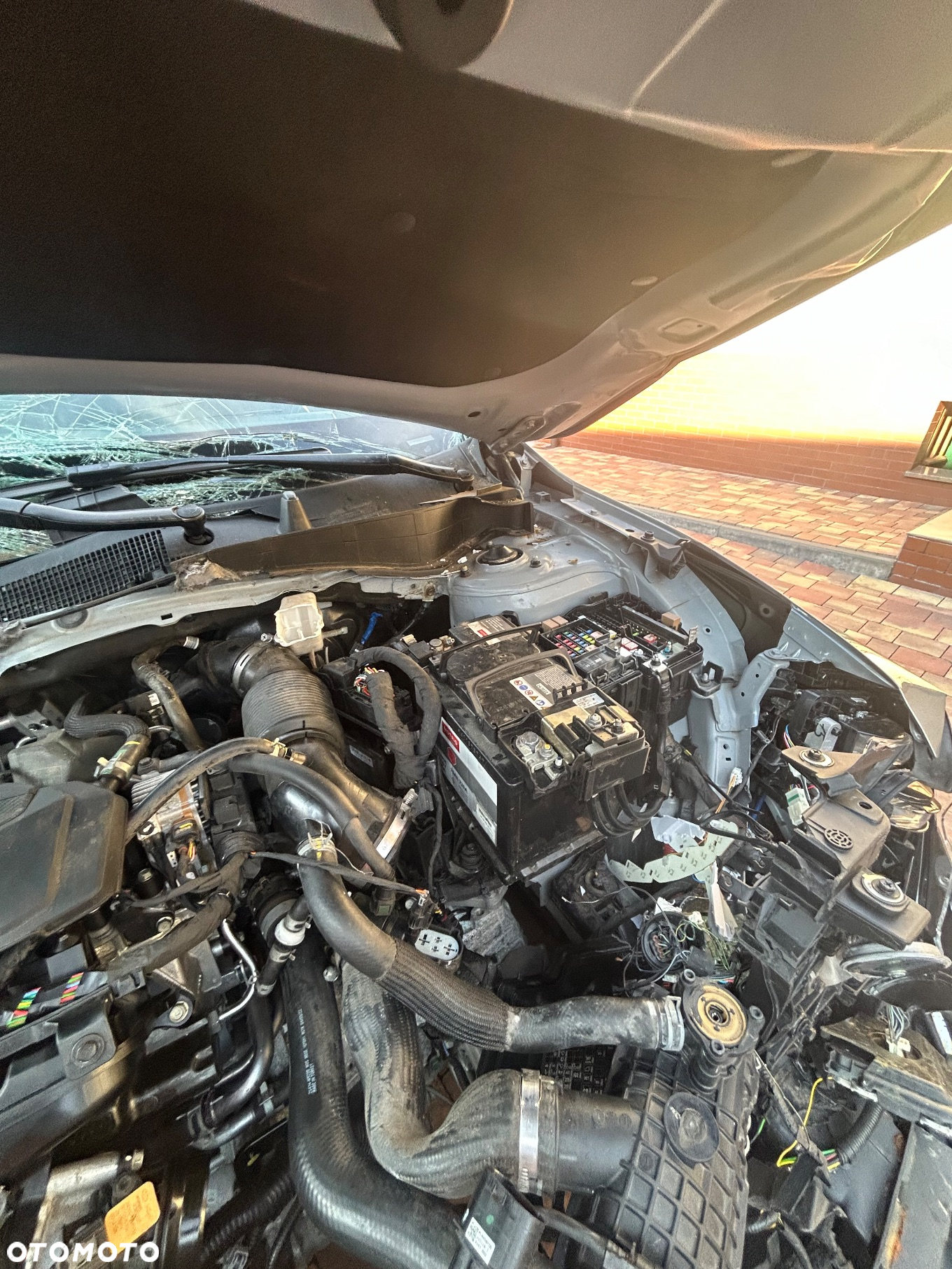 Kia Sportage 1.6 T-GDI Anniversary 2WD - 11