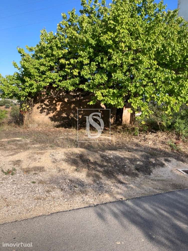 Moradia T3 Venda em Tomar (São João Baptista) e Santa Maria dos Olivai - Grande imagem: 3/10