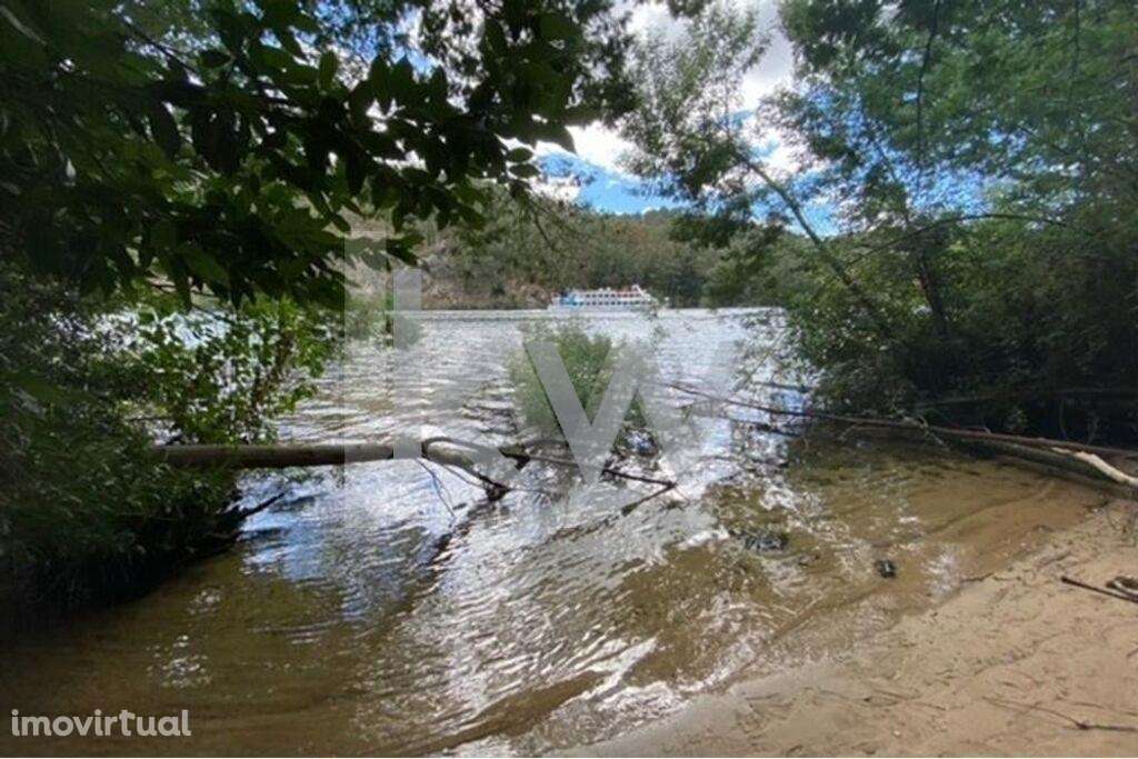 Terreno de 46.634 m2 no Rio Douro com frente de 300m2 - Praia Privativ - Grande imagem: 4/28