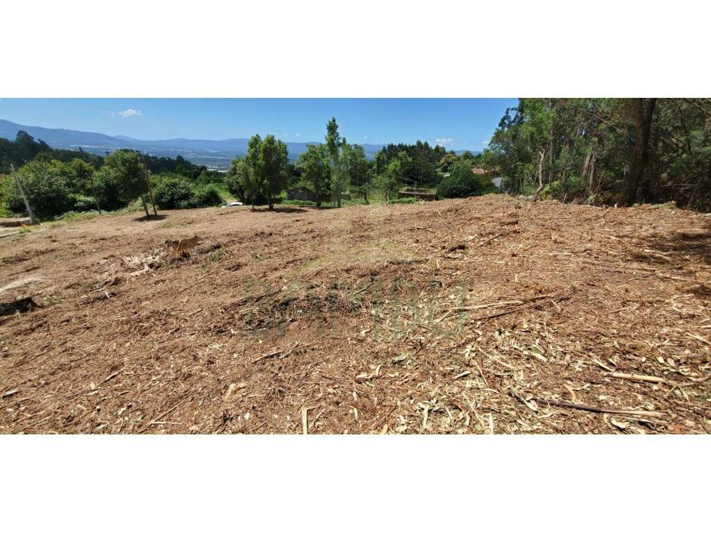 Terreno para venda - Grande imagem: 3/8